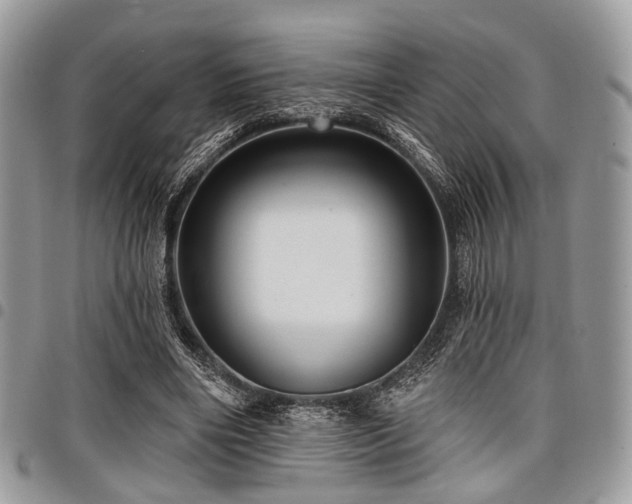 X0000098010490200803281315