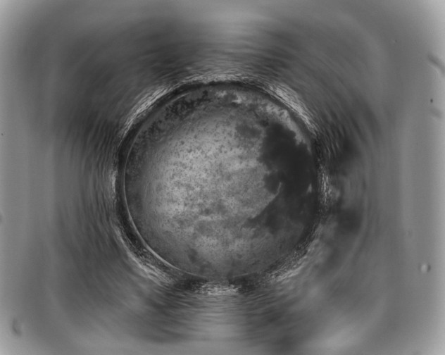 X0000098010491200803281315