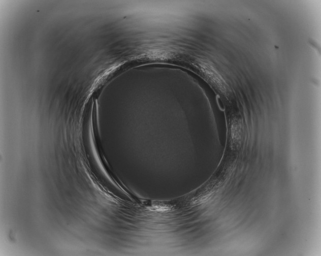 X0000098010492200803281315