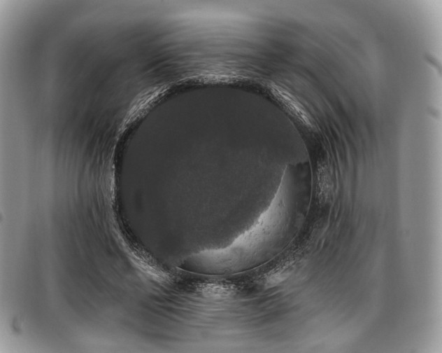 X0000098010494200803281315