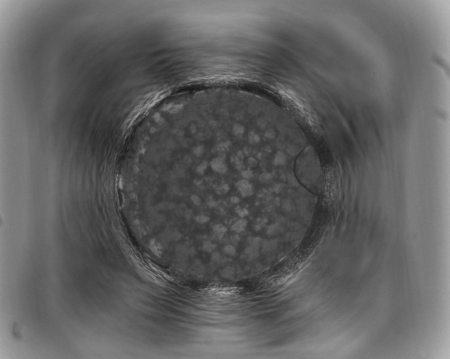 X0000098010495200803281315