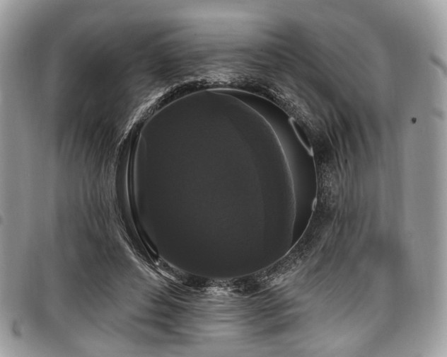 X0000098010496200803281315