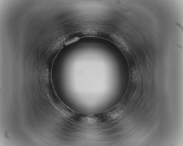 X0000098010498200803281315