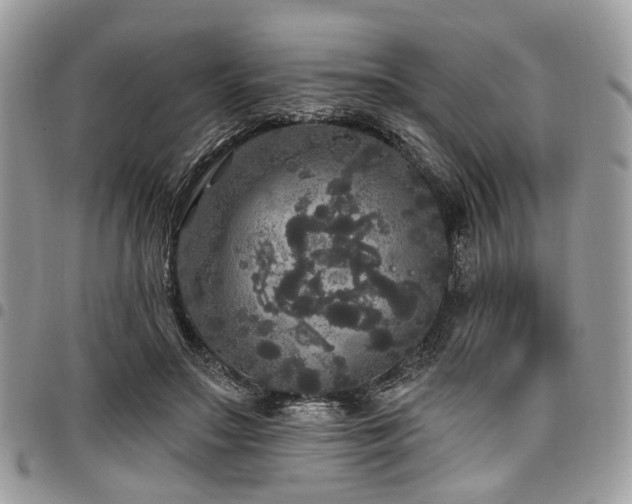 X0000098010499200803281315