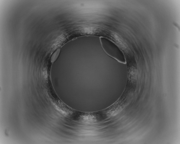 X0000098010500200803281315
