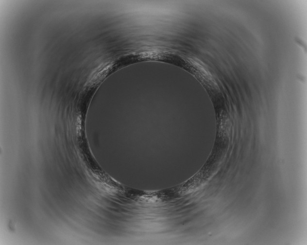 X0000098010502200803281315