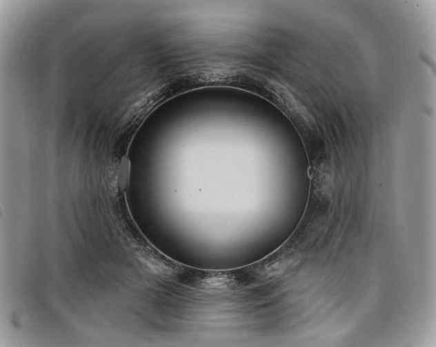X0000098010505200803281315