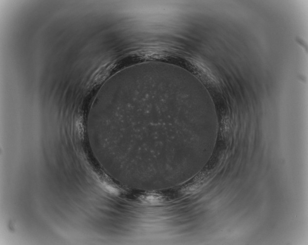 X0000098010506200803281315