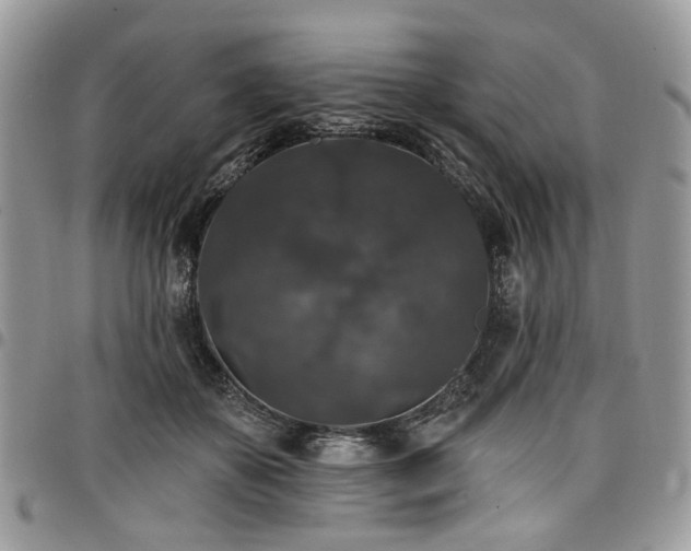 X0000098010507200803281315
