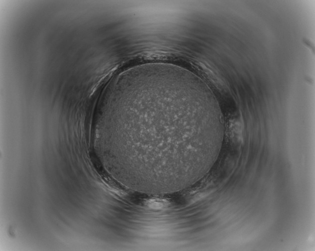X0000098010508200803281315