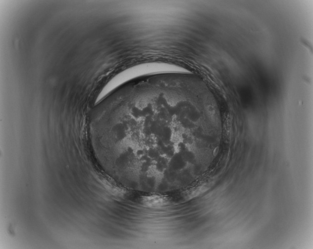 X0000098010511200803281315