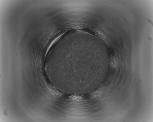X0000098010512200803281315