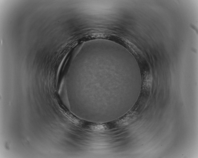 X0000098010513200803281315