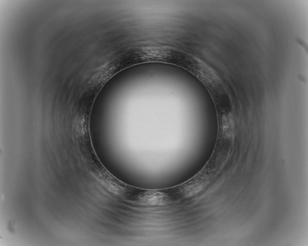 X0000098010514200803281315
