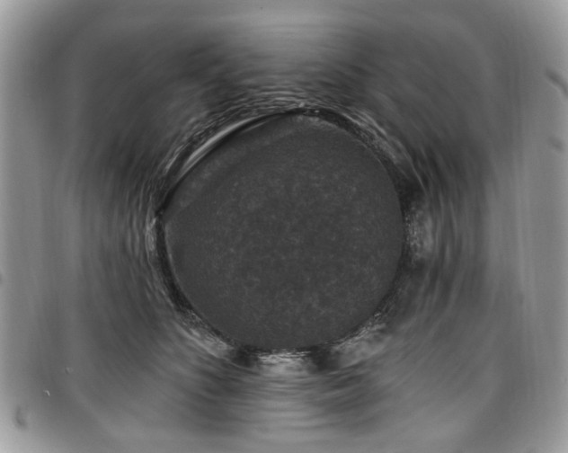 X0000098010516200803281315
