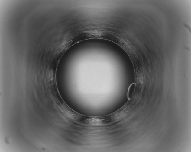 X0000098010518200803281315