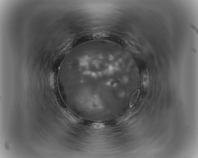X0000098010519200803281315