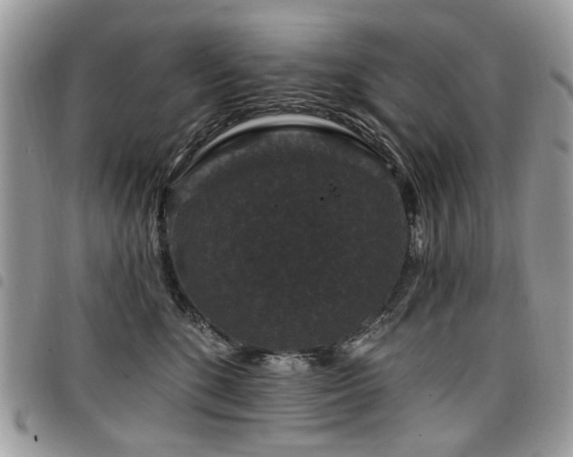 X0000098010520200803281315