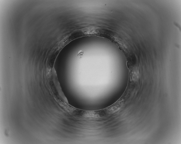 X0000098010521200803281315