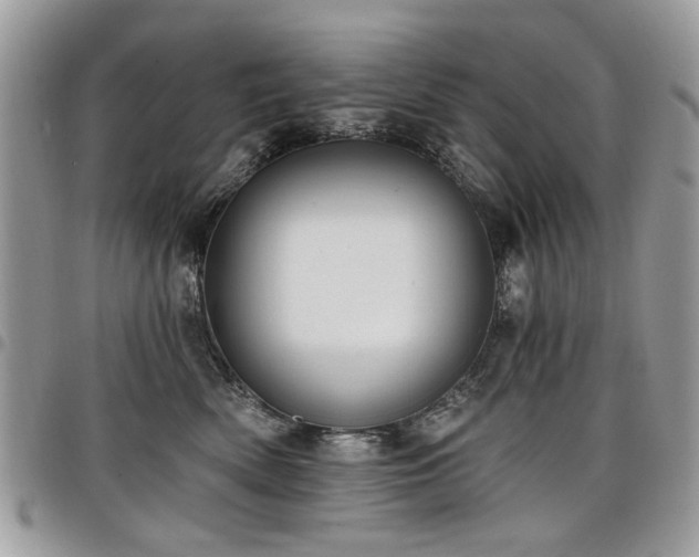 X0000098010522200803281315