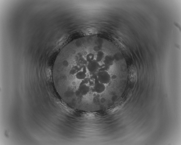 X0000098010523200803281315