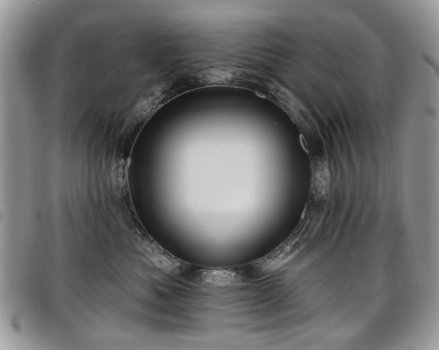 X0000098010525200803281315
