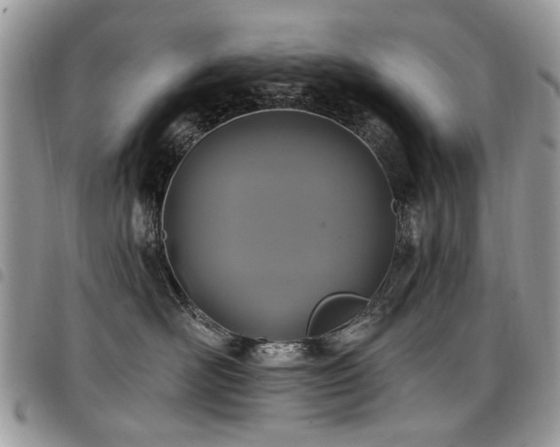X0000098010526200803281315