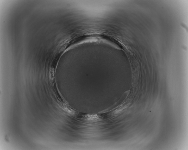 X0000098010528200803281315