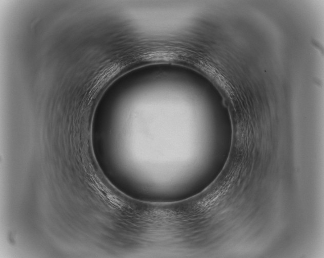 X0000098010529200803281314