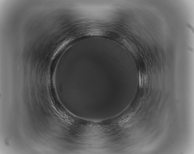 X0000098010531200803281314