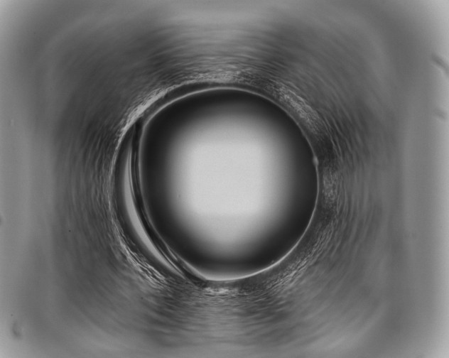 X0000098010532200803281314