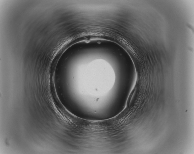X0000098010534200803281314