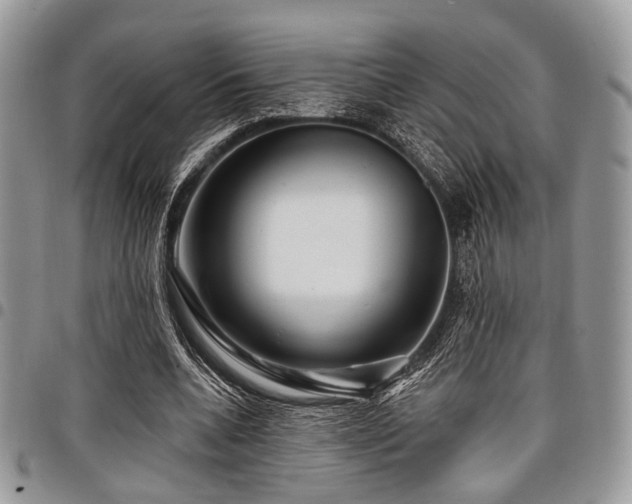 X0000098010536200803281314