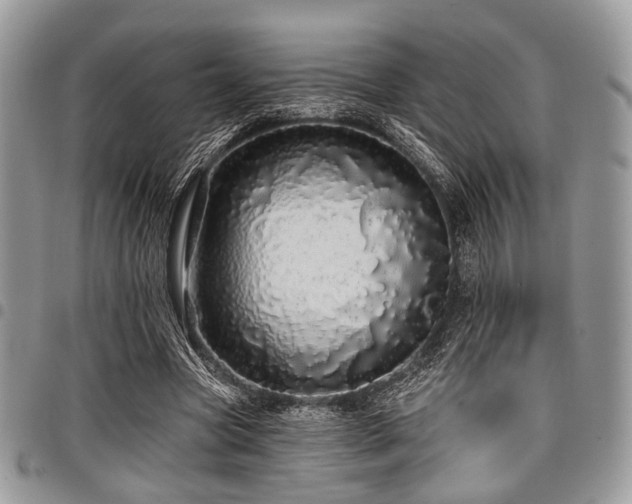 X0000098010537200803281314