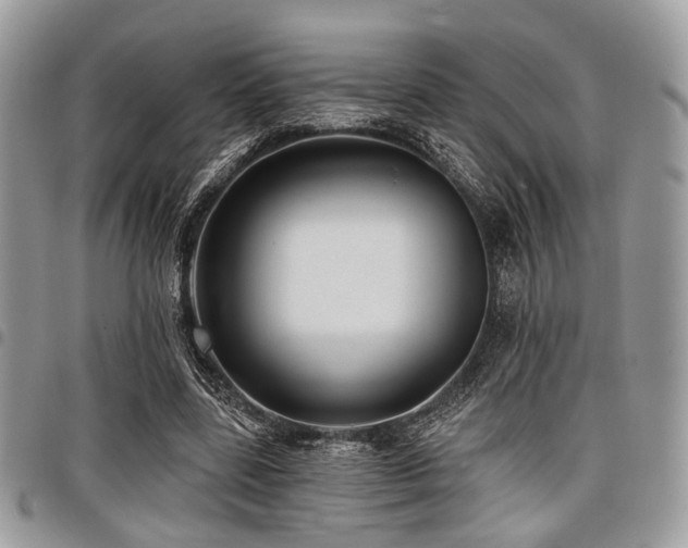 X0000098010539200803281314