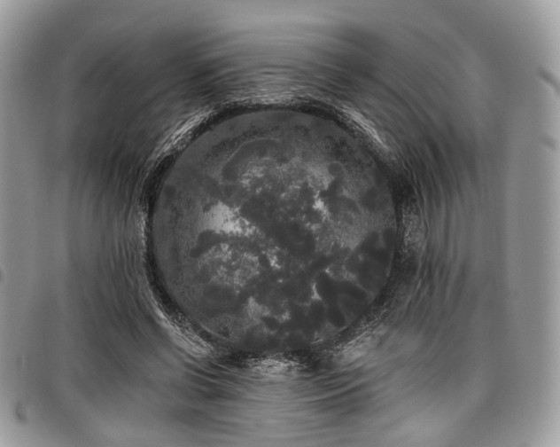 X0000098010542200803281314