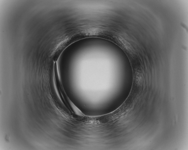 X0000098010543200803281314