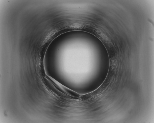 X0000098010544200803281314
