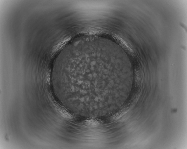 X0000098010545200803281314