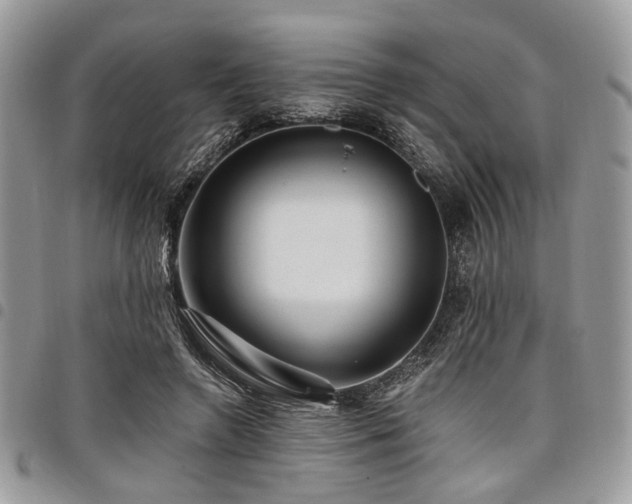 X0000098010546200803281314