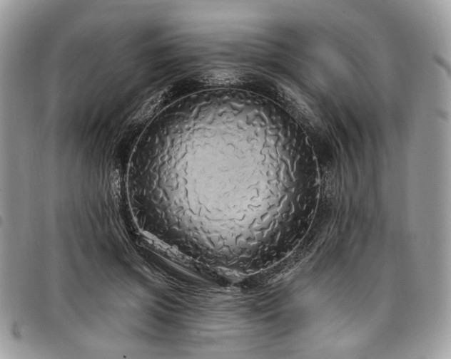 X0000098010549200803281314