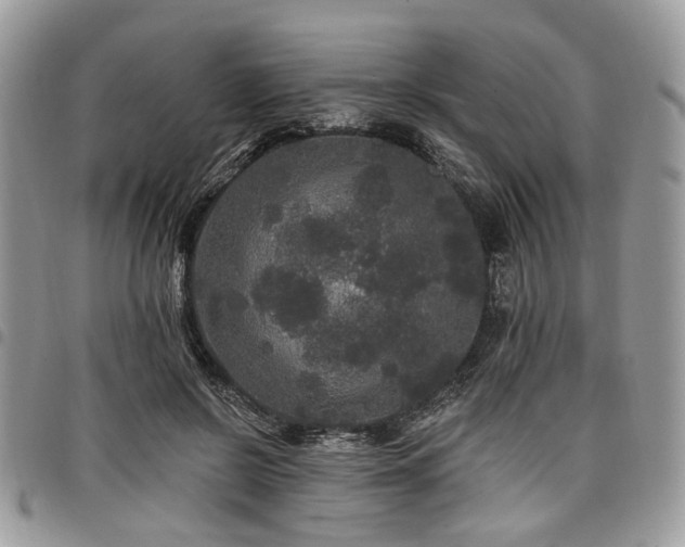 X0000098010550200803281314