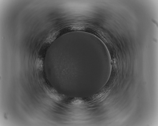 X0000098010551200803281314