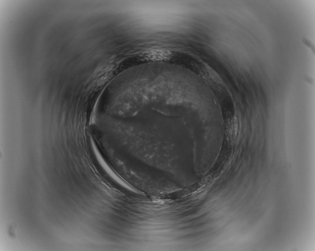 X0000098010553200803281314