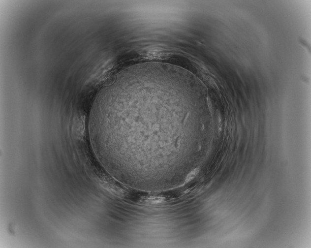X0000098010554200803281314