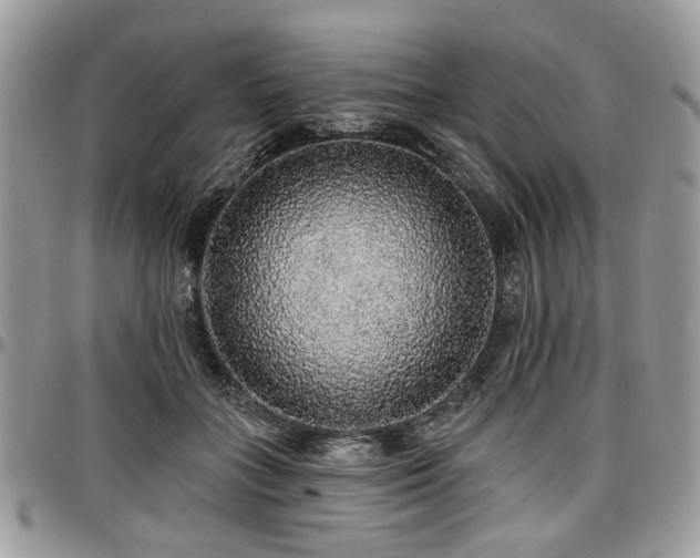 X0000098010555200803281314