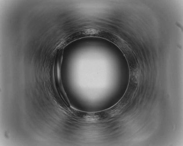 X0000098010556200803281314
