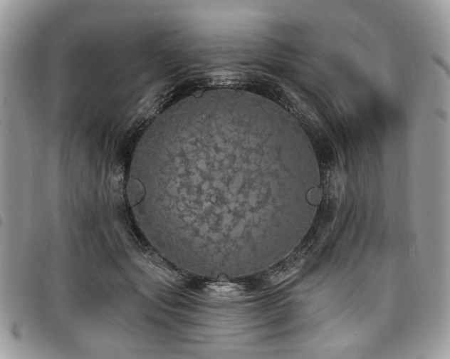X0000098010557200803281314