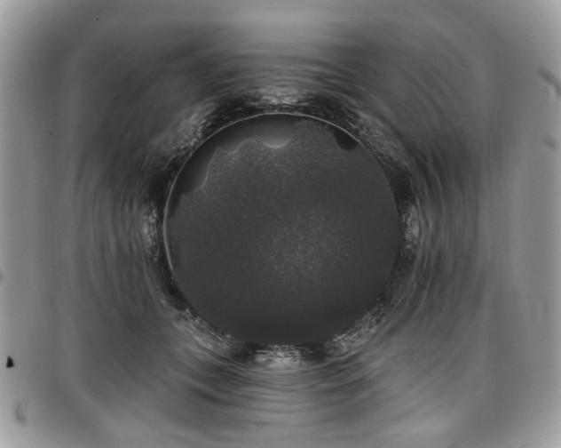 X0000098010559200803281314