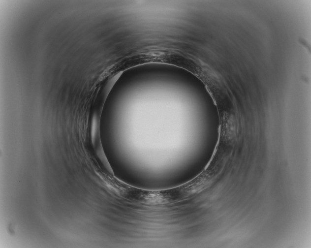 X0000098010562200803281314